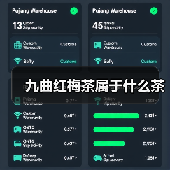 九曲红梅茶属于什么茶