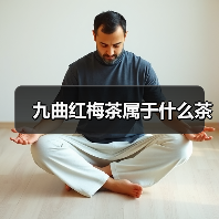 九曲红梅茶属于什么茶(图3) 九曲红梅茶属于什么茶(图3)