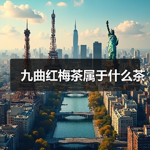 九曲红梅茶属于什么茶(图4) 九曲红梅茶属于什么茶(图4)