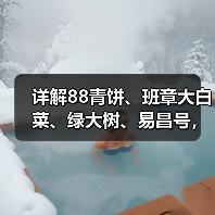 详解88青饼、班章大白菜、绿大树、易昌号，四类普洱名茶带火市场（图1）