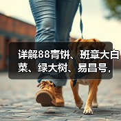 详解88青饼、班章大白菜、绿大树、易昌号，四类普洱名茶带火市场（图2）