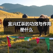 宜兴红茶的功效与作用是什么（图1）
