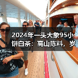 2024年一头大象95小饼白茶：高山陈料，岁月沉淀（图2）