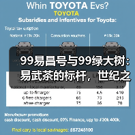 99易昌号与99绿大树:易武茶的标杆,世纪之交的耀眼新星(图3) 99易昌号与99绿大树:易武茶的标杆,世纪之交的耀眼新星(图3)
