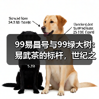 99易昌号与99绿大树:易武茶的标杆,世纪之交的耀眼新星(图2) 99易昌号与99绿大树:易武茶的标杆,世纪之交的耀眼新星(图2)