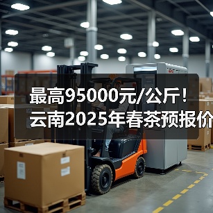最高95000元/公斤！云南2025年春茶预报价公布（图3）