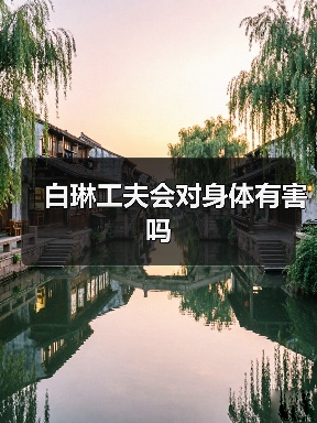 白琳工夫会对身体有害吗（图3）