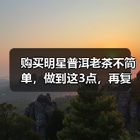 购买明星普洱老茶不简单,做到这3点,再复杂也有机会上车(图2) 购买明星普洱老茶不简单,做到这3点,再复杂也有机会上车(图2)