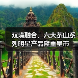双境融合,六大茶山系列明星产品隆重呈市(图4) 双境融合,六大茶山系列明星产品隆重呈市(图4)