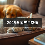 2025全国三月茶情(图3) 2025全国三月茶情(图3)