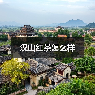 汉中高端工夫红茶品质与优势解析