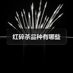 红碎茶品种有哪些（图3）