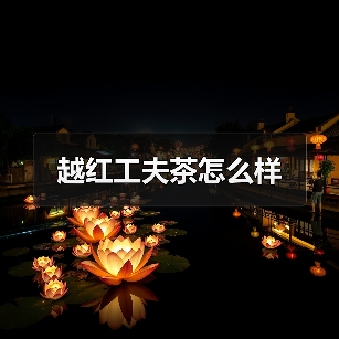 越红工夫茶怎么样(图4) 越红工夫茶怎么样(图4)