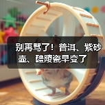 别再骂了!普洱、紫砂壶、醴陵瓷早变了(图2) 别再骂了!普洱、紫砂壶、醴陵瓷早变了(图2)