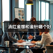 滇红金螺和金针哪个好（图2）