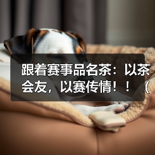 跟着赛事品名茶：以茶会友，以赛传情！！（3）（图2）