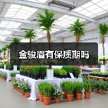 金骏眉有保质期吗(图3) 金骏眉有保质期吗(图3)