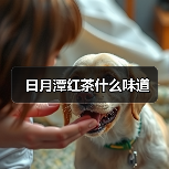 日月潭红茶什么味道(图4) 日月潭红茶什么味道(图4)