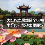 大红袍壶居然是个00后小鲜肉？紫砂壶里那些连老玩家都被忽悠的坑（图2）