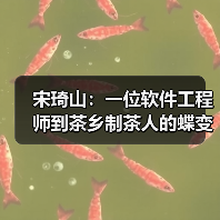宋琦山：一位软件工程师到茶乡制茶人的蝶变（图4）