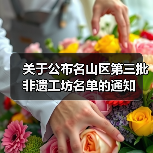 关于公布名山区第三批非遗工坊名单的通知（图4）