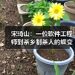 宋琦山：一位软件工程师到茶乡制茶人的蝶变（图1）