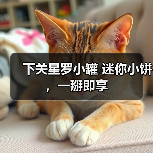 下关星罗小罐 迷你小饼，一掰即享（图1）