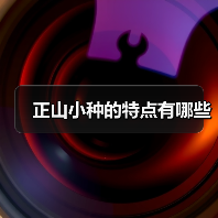 正山小种的特点有哪些(图2) 正山小种的特点有哪些(图2)