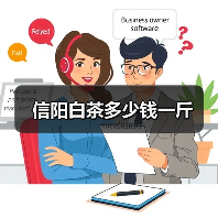 信阳白茶多少钱一斤（图2）