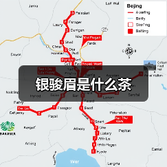 银骏眉是什么茶（图4）