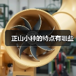 正山小种的特点有哪些(图1) 正山小种的特点有哪些(图1)