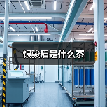 银骏眉是什么茶（图3）