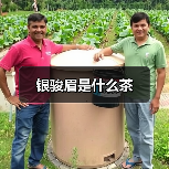 银骏眉是什么茶（图2）