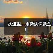 从这里，重新认识紫金！（图4）
