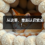 从这里，重新认识紫金！（图3）