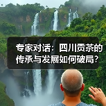 专家对话:四川贡茶的传承与发展如何破局?(图2) 专家对话:四川贡茶的传承与发展如何破局?(图2)