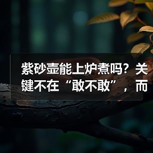 紫砂壶能上炉煮吗?关键不在“敢不敢”,而在“配不配”(图4) 紫砂壶能上炉煮吗?关键不在“敢不敢”,而在“配不配”(图4)