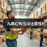 九曲红梅性凉还是性热（图3）