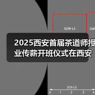 2025西安首届茶道师授业传薪开班仪式在西安巾帼创客空间举行（图1）
