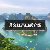 遵义红茶口感介绍(图2) 遵义红茶口感介绍(图2)