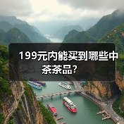 199元内能买到哪些中茶茶品?(图3) 199元内能买到哪些中茶茶品?(图3)