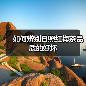 如何辨别日照红梅茶品质的好坏（图3）