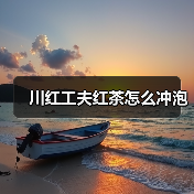 川红工夫红茶怎么冲泡(图4) 川红工夫红茶怎么冲泡(图4)