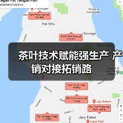 茶叶技术赋能强生产 产销对接拓销路(图3) 茶叶技术赋能强生产 产销对接拓销路(图3)