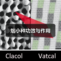 烟小种功效与作用(图3) 烟小种功效与作用(图3)