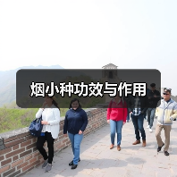 烟小种功效与作用(图4) 烟小种功效与作用(图4)