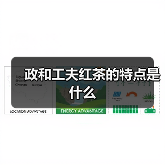 政和工夫红茶的特点是什么(图3) 政和工夫红茶的特点是什么(图3)