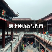 烟小种功效与作用(图1) 烟小种功效与作用(图1)