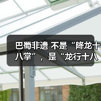巴蜀非遗 不是“降龙十八掌”,是“龙行十八式”(图2) 巴蜀非遗 不是“降龙十八掌”,是“龙行十八式”(图2)