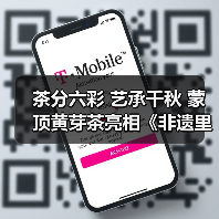 茶分六彩 艺承千秋 蒙顶黄芽茶亮相《非遗里的中国》(图3) 茶分六彩 艺承千秋 蒙顶黄芽茶亮相《非遗里的中国》(图3)